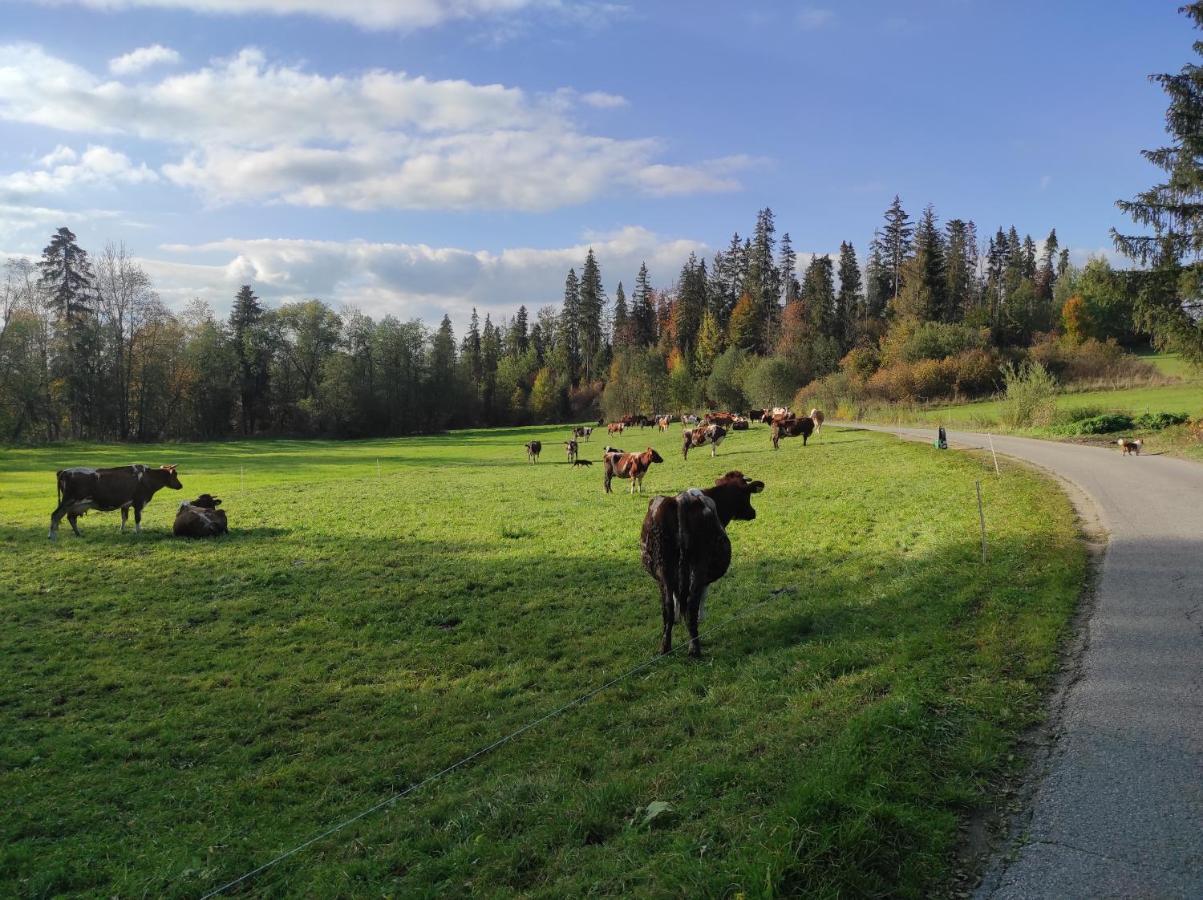 W Maruszynie Farm stay *