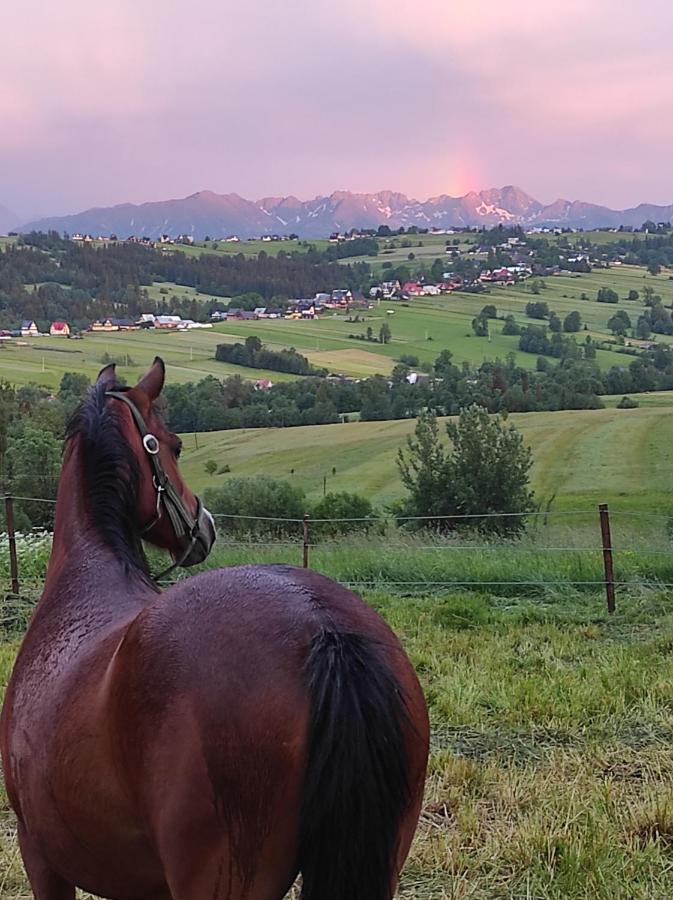 W Maruszynie Farm stay *