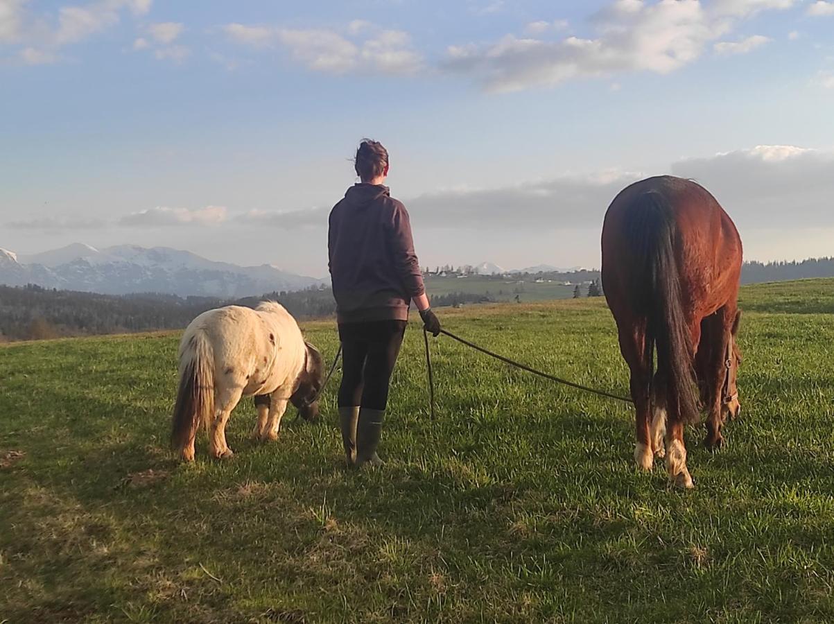 W Maruszynie Farm stay *