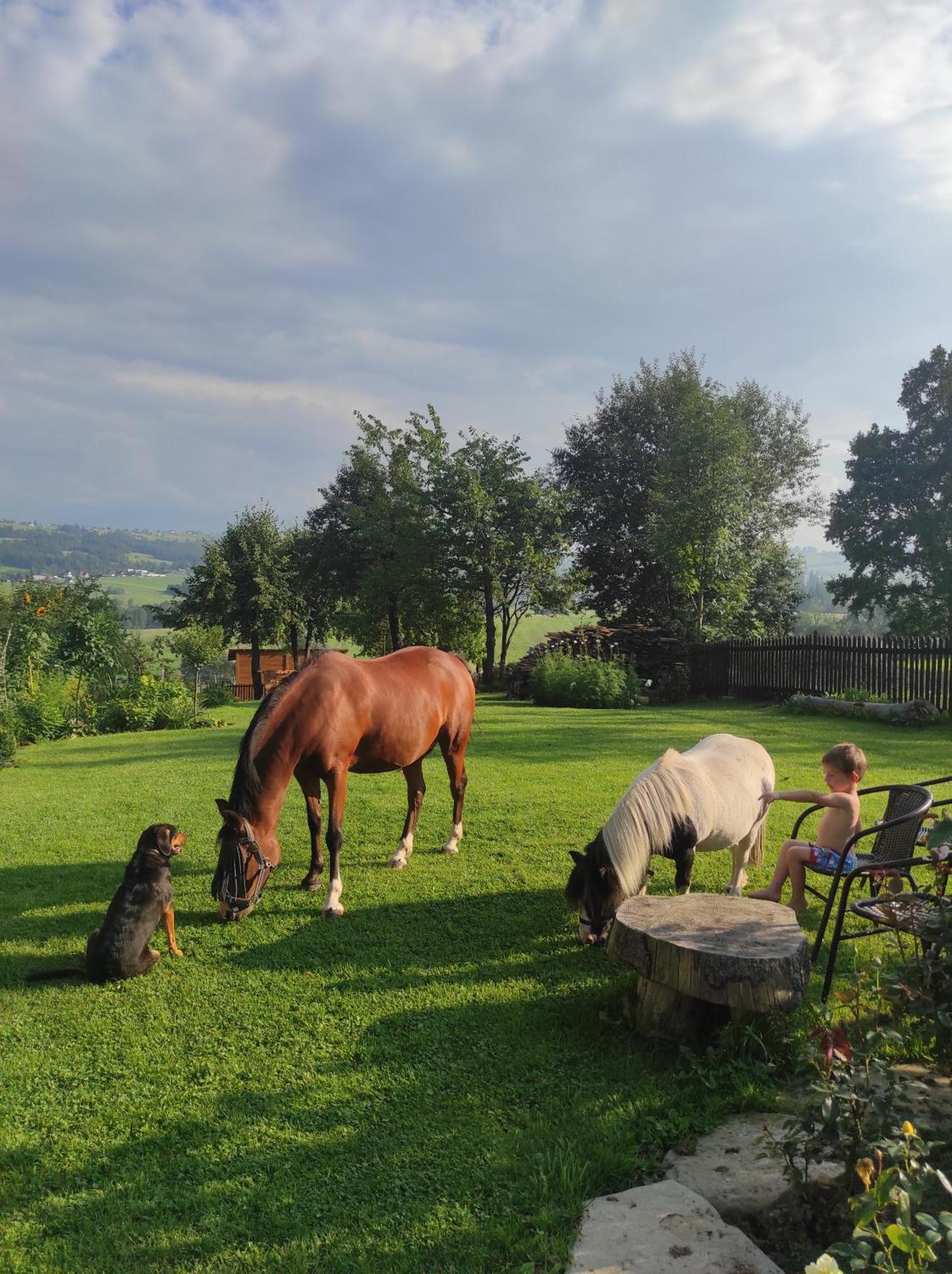 Farm stay W Maruszynie Maruszyna